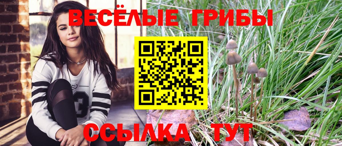 Галлюциногенные грибы Psilocybine cubensis  Вход с VPN  Тольятти  Галлюциногенные грибы Cubensis 